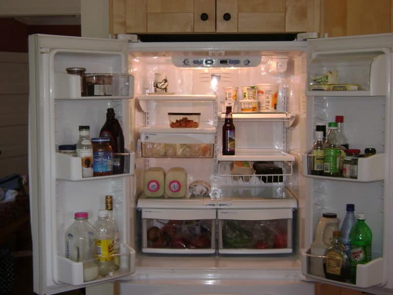Manufactured Home Refrigerators Guide Five Shopping Factors And Nine