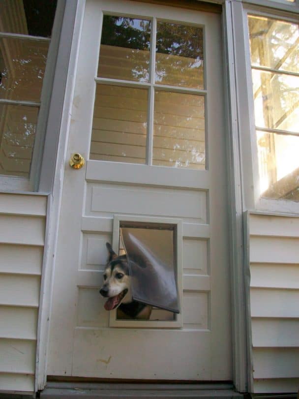 Can You Put A Doggie Door Into A Manufactured Home? Manufactured Home