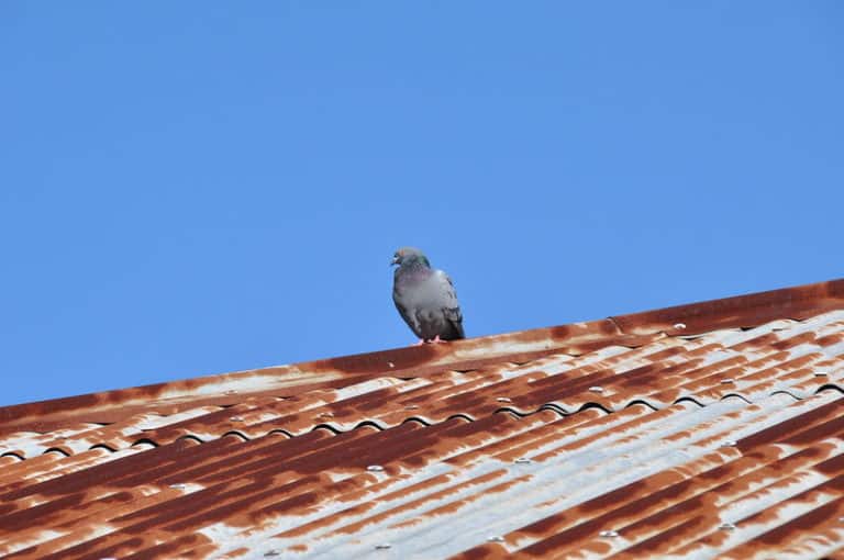 How Do You Get Rust Off A Manufactured Home Roof? Manufactured Home