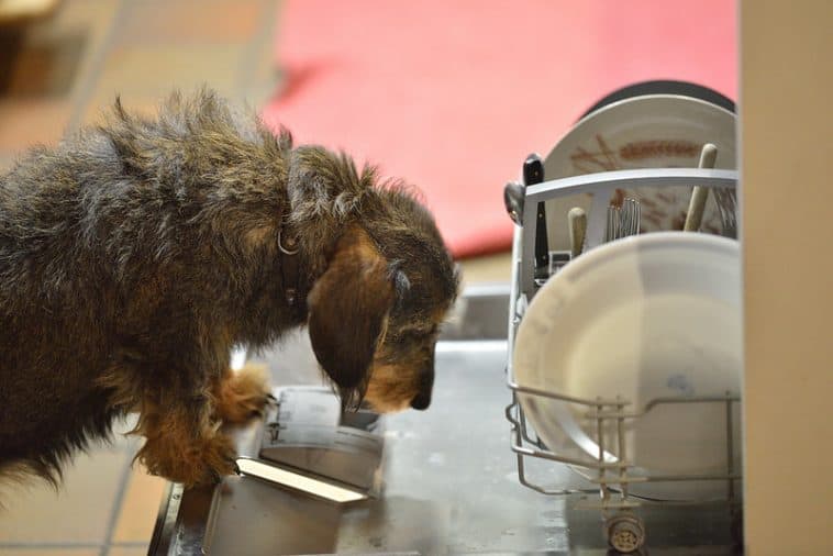 Is It Safe To Leave The Dishwasher On Overnight And Unattended? (Yes