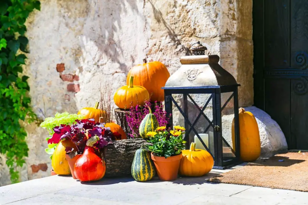 When Should You Put Up and Take Down Fall Decorations? (Solved