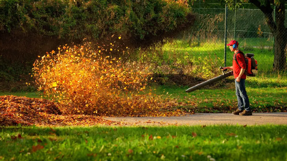 Is It Rude To Use A Leaf Blower In The Evening Or Early Morning?