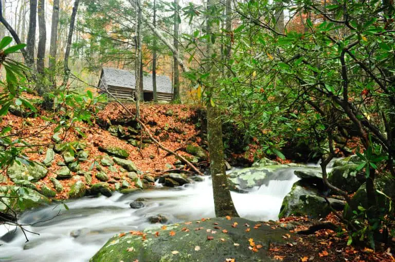 What Are the Pros and Cons of Owning a Home Near a Creek?