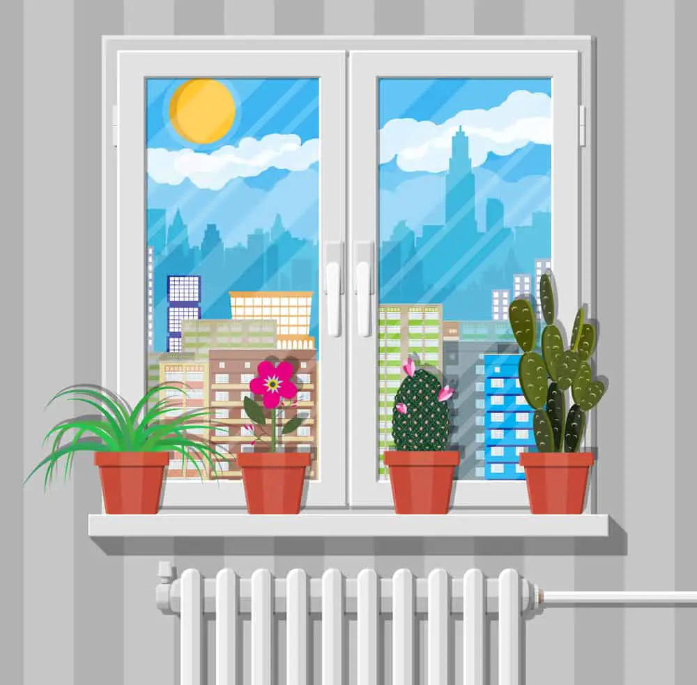 Can You Put Plants Near a Radiator or Baseboard Heater?