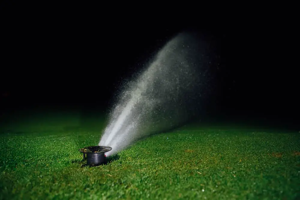 Should You Leave Your Sprinkler on All Night?