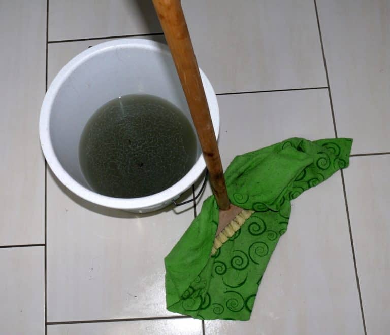 Is It OK To Pour Dirty Mop Water Down The Toilet? Manufactured Home