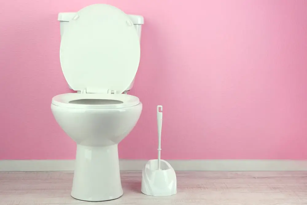 Should You Leave The Toilet Seat Up Or Down When You Go On Vacation?