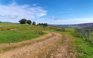 What Are The Pros And Cons Of Living On A Dirt Road?